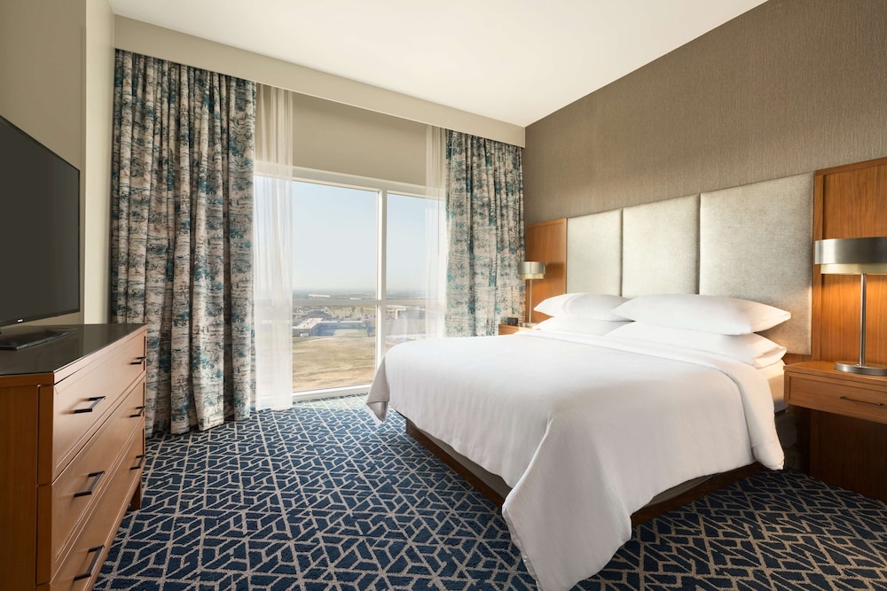 Embassy Suites by Hilton Denton Convention Center - photo 10