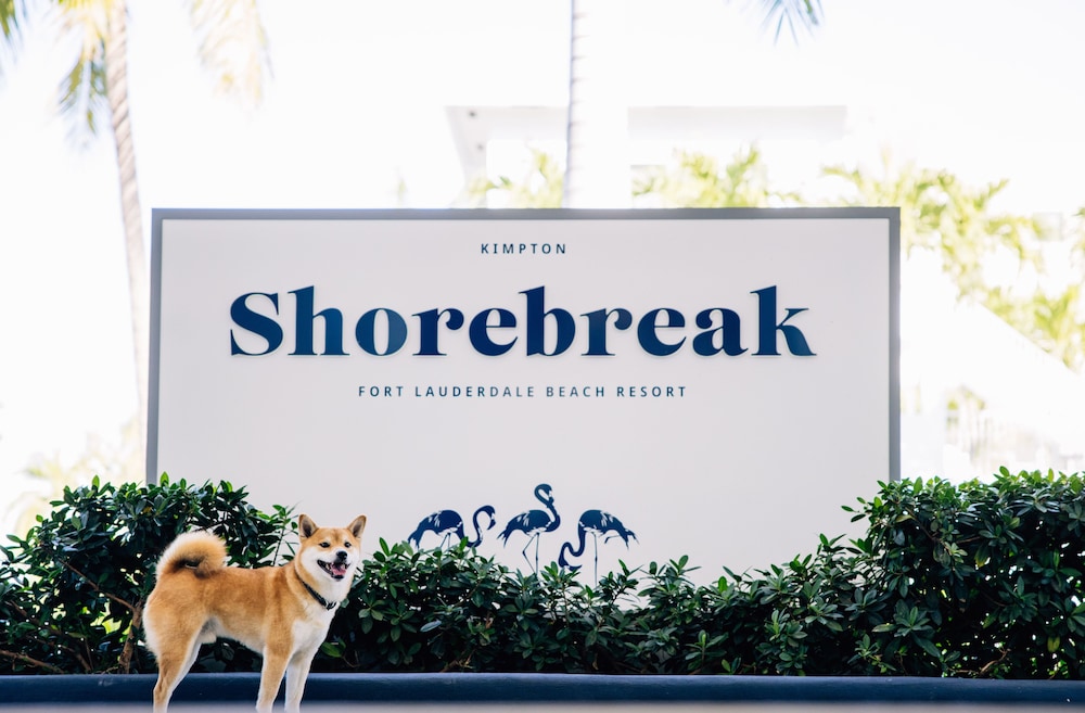 Kimpton Shorebreak Fort Lauderdale Beach Resort by IHG - photo 101