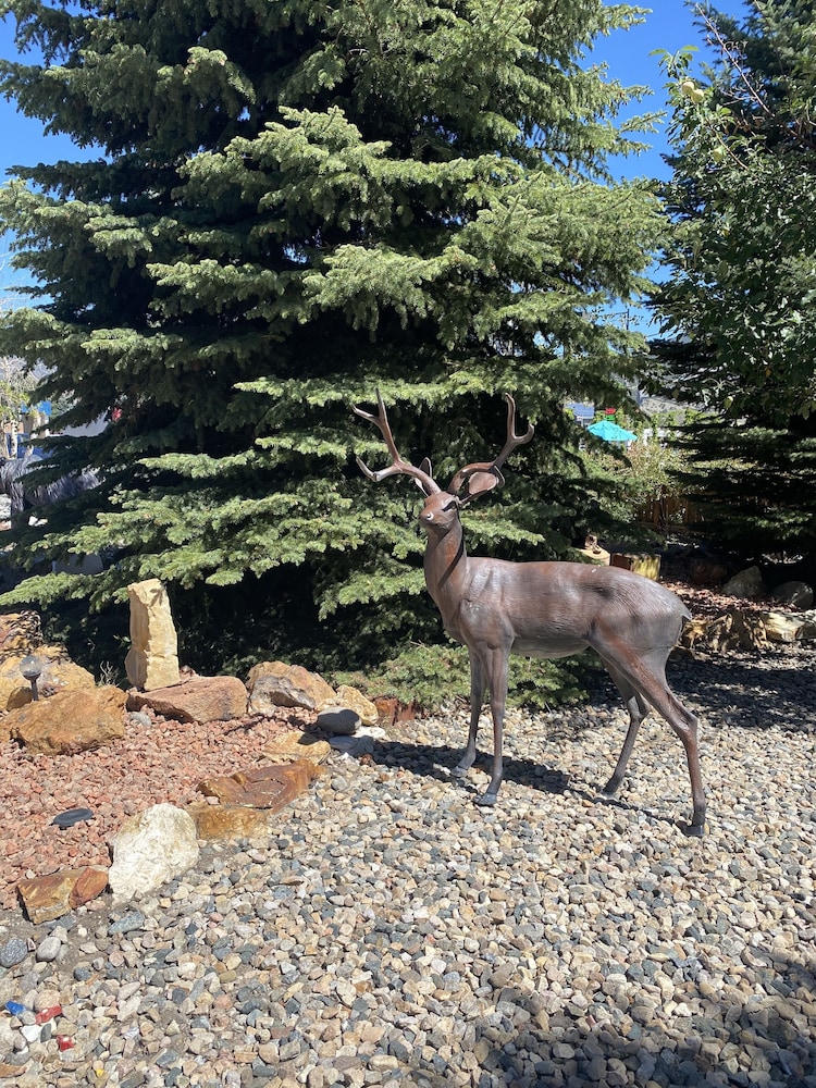 Browns Canyon Inn - photo 83