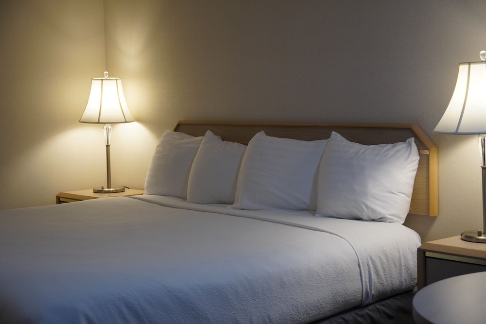 Timberland Inn & Suites - photo 48
