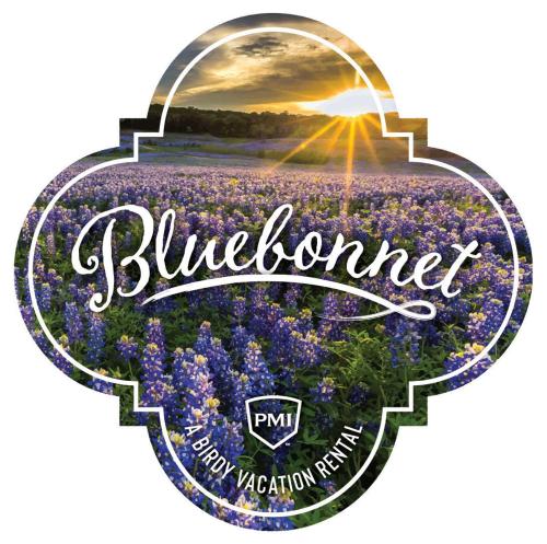 Bluebonnet A Birdy Vacation Rental — 4-Star Luxury Hotel in San Antonio, United States