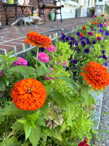 Golden Gables Inn - photo 3