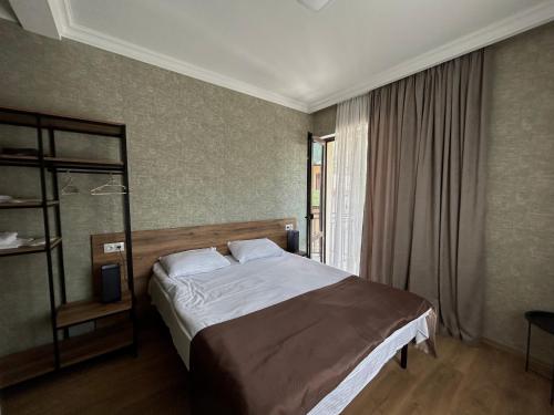 Aldema in Step'antsminda, Georgia