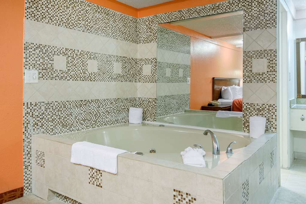 Rodeway Inn Auburn Hills Detroit - photo 20