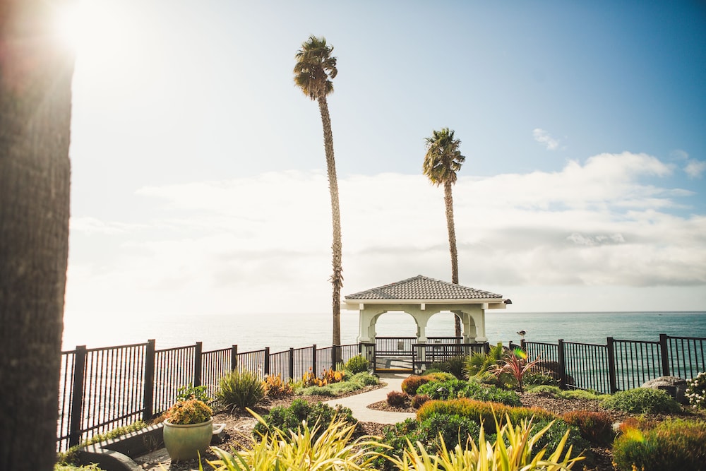Shore Cliff Hotel - photo 47