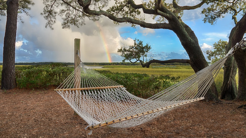 Disney's Hilton Head Island Resort - photo 38