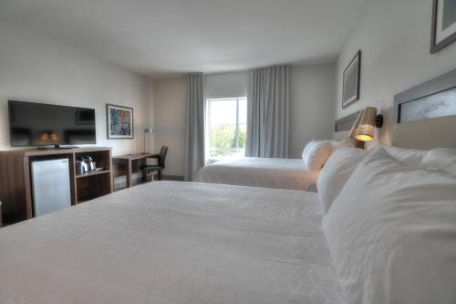Holiday Inn & Suites Pigeon Forge Convention Center an IHG Hotel - photo 20