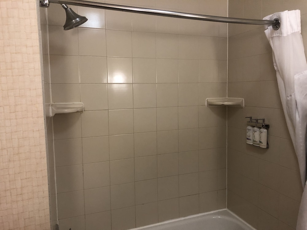 Holiday Inn Express Hotel & Suites Lansing Dimondale by IHG - photo 41