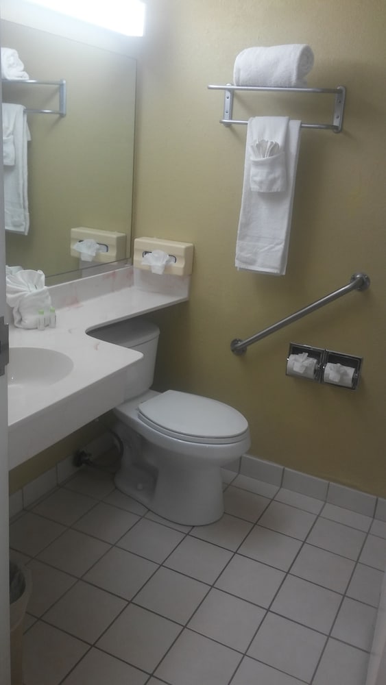Vista Inn Lake Tarpon - photo 32