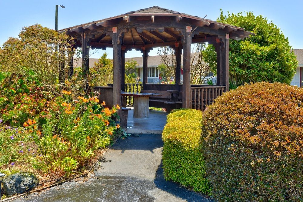 Surf Motel and Gardens - photo 20