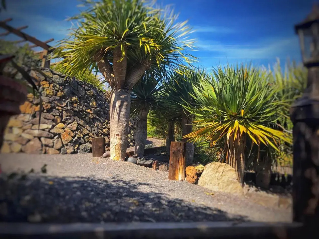 Finca La Fuentecilla in Haria, Spain