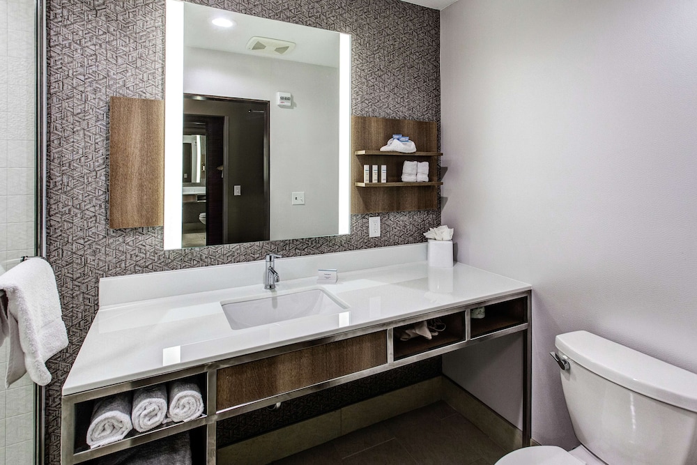 Hilton Garden Inn Topeka - photo 12