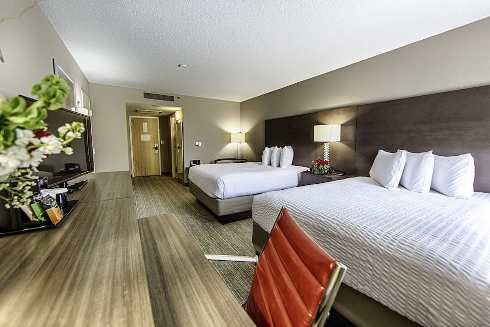 Hotel Capstone - photo 5