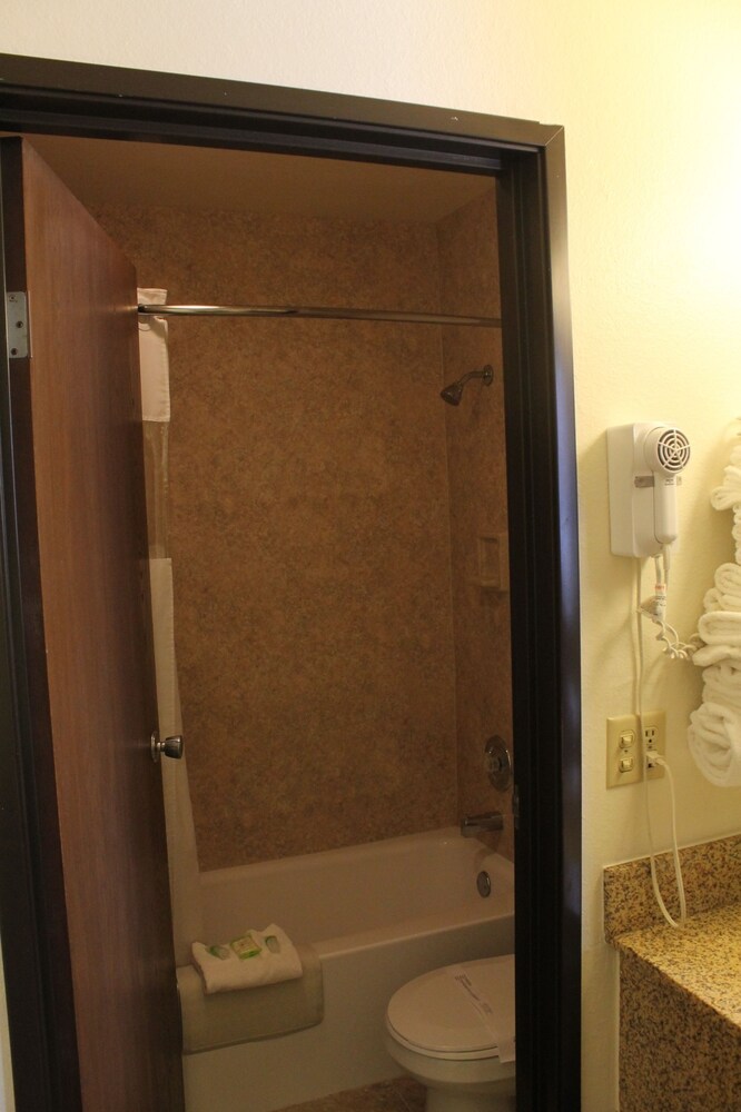 Lone Tree Inn - photo 14