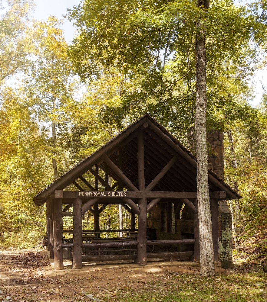 Pennyrile Forest State Resort Park - photo 43