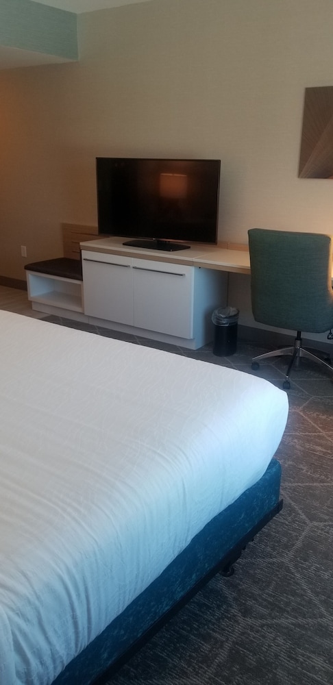 Hilton Garden Inn Colorado Springs Downtown - photo 71