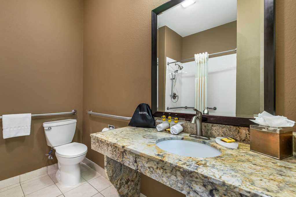 Best Western Plus Lytle Inn & Suites - photo 28