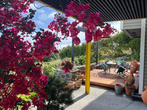 Under the Yellow Canopy — 4-Star Luxury Hotel in Christchurch, New Zealand