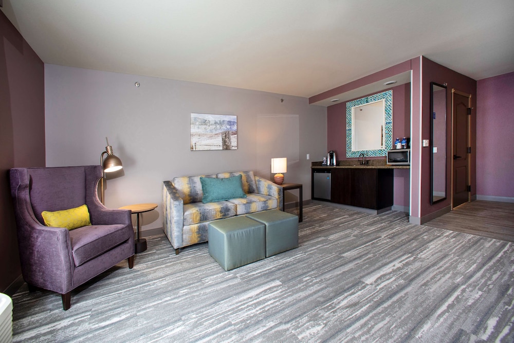 Hilton Garden Inn Rapid City - photo 38
