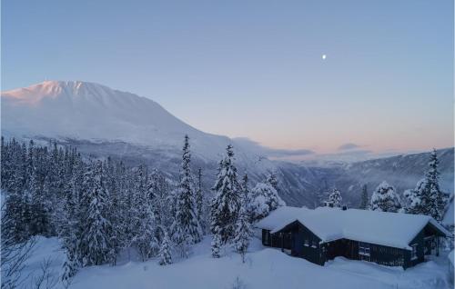 Stunning Home In Rjukan With Wifi — 4-Star Luxury Hotel in Rjukan, Norway
