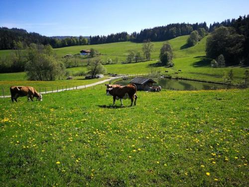 Einsiedlhof — Inzell — photo 4