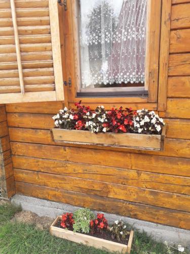 Karadžić — Zabljak — photo 5