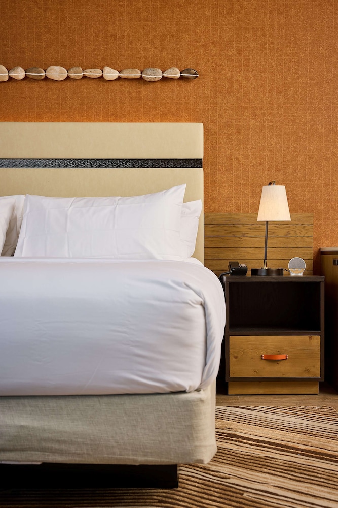 Hotel Melby Downtown Melbourne Tapestry Collection by Hilton - photo 7