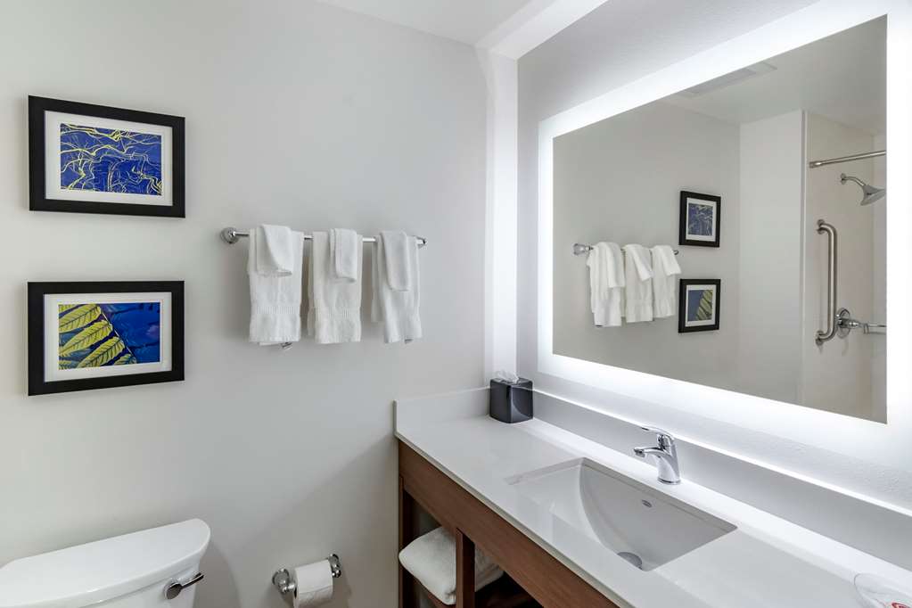 Comfort Suites Grandview Kansas City - photo 9