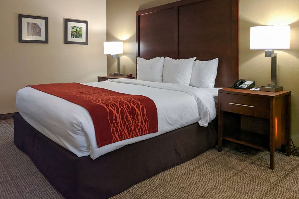 Comfort Inn Marrero New Orleans West - photo 12