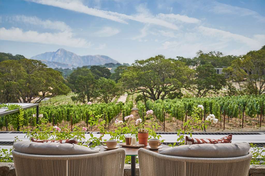 Montage Healdsburg - photo 4