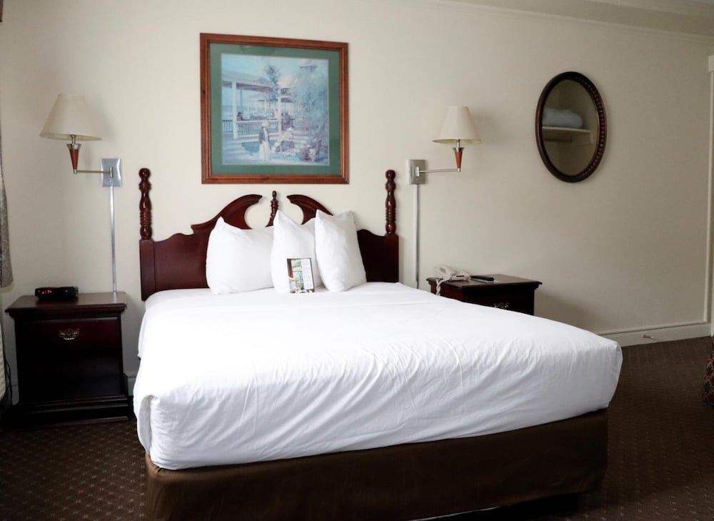 Senator Inn & Spa - photo 11