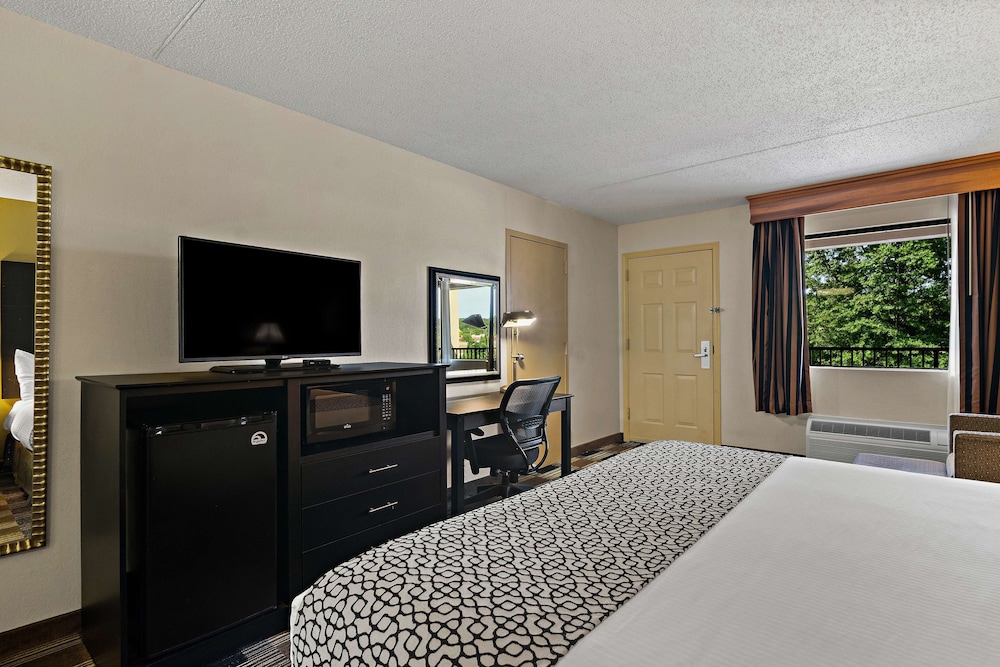 Best Western Windsor Suites - photo 6
