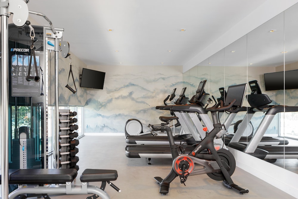 Kimpton Hotel Palomar South Beach by IHG - photo 34