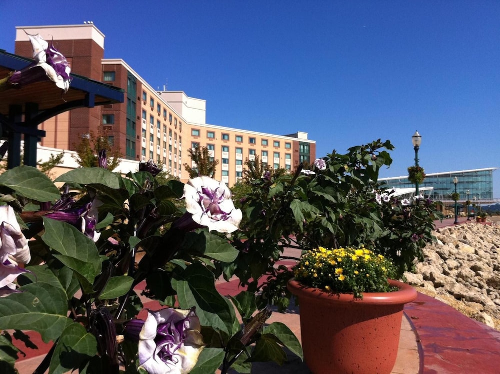 Grand Harbor Resort and Waterpark - photo 35