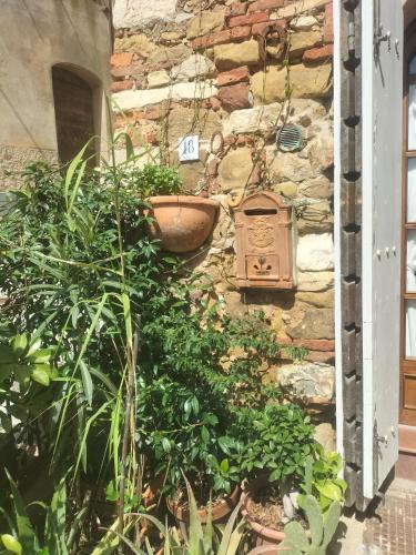 Al Tuffatore Etrusco — Campiglia Marittima