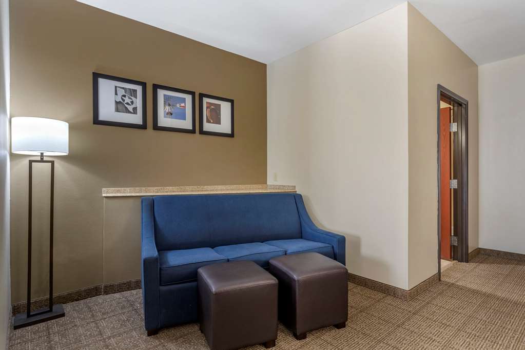 Comfort Suites Buda Austin South - photo 24