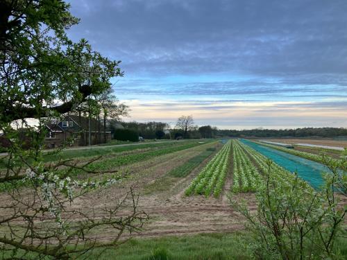 Lowlander Bnb 19331371 — Heemskerk