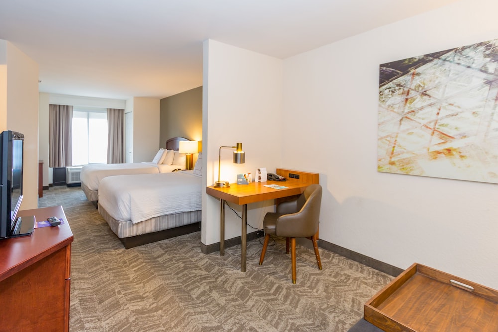 SpringHill Suites by Marriott Tampa Westshore Airport - photo 8