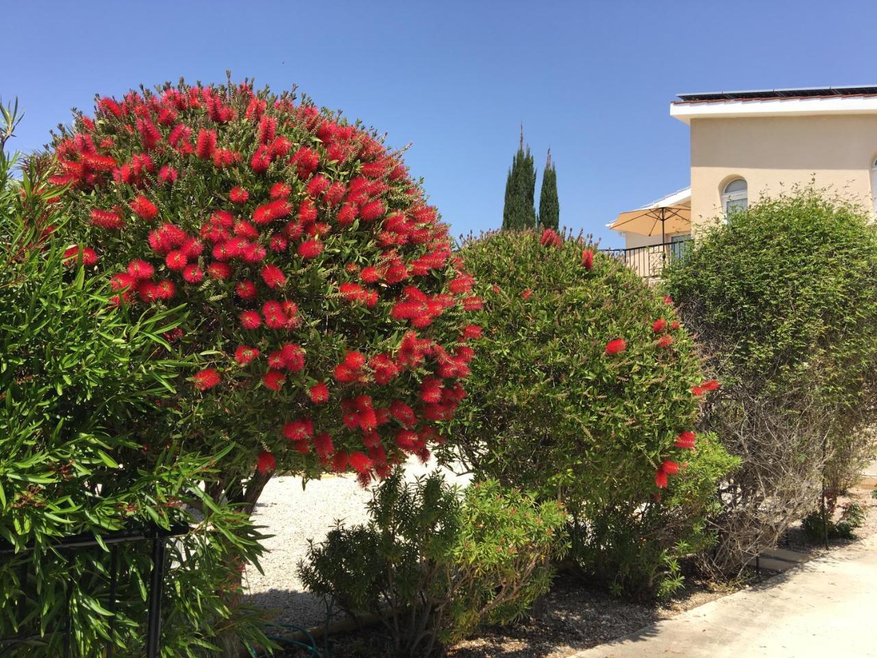Villa Anthiana