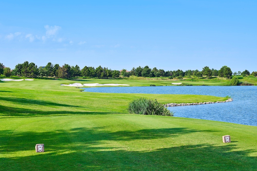 The Westin Dallas Stonebriar Golf Resort & Spa - photo 49