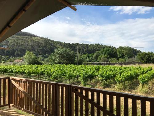Safaritent Glamping de L'olivigne — hotel in Bize-Minervois