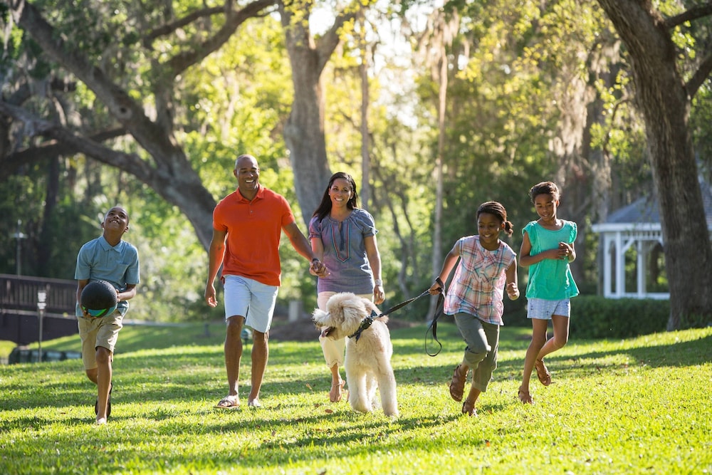 Sawgrass Marriott Golf Resort & Spa - photo 93
