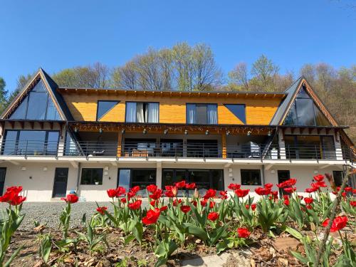 A Frame Pietrele Soimului — Cavnic