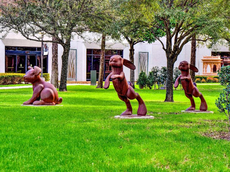 Hilton Anatole - photo 22