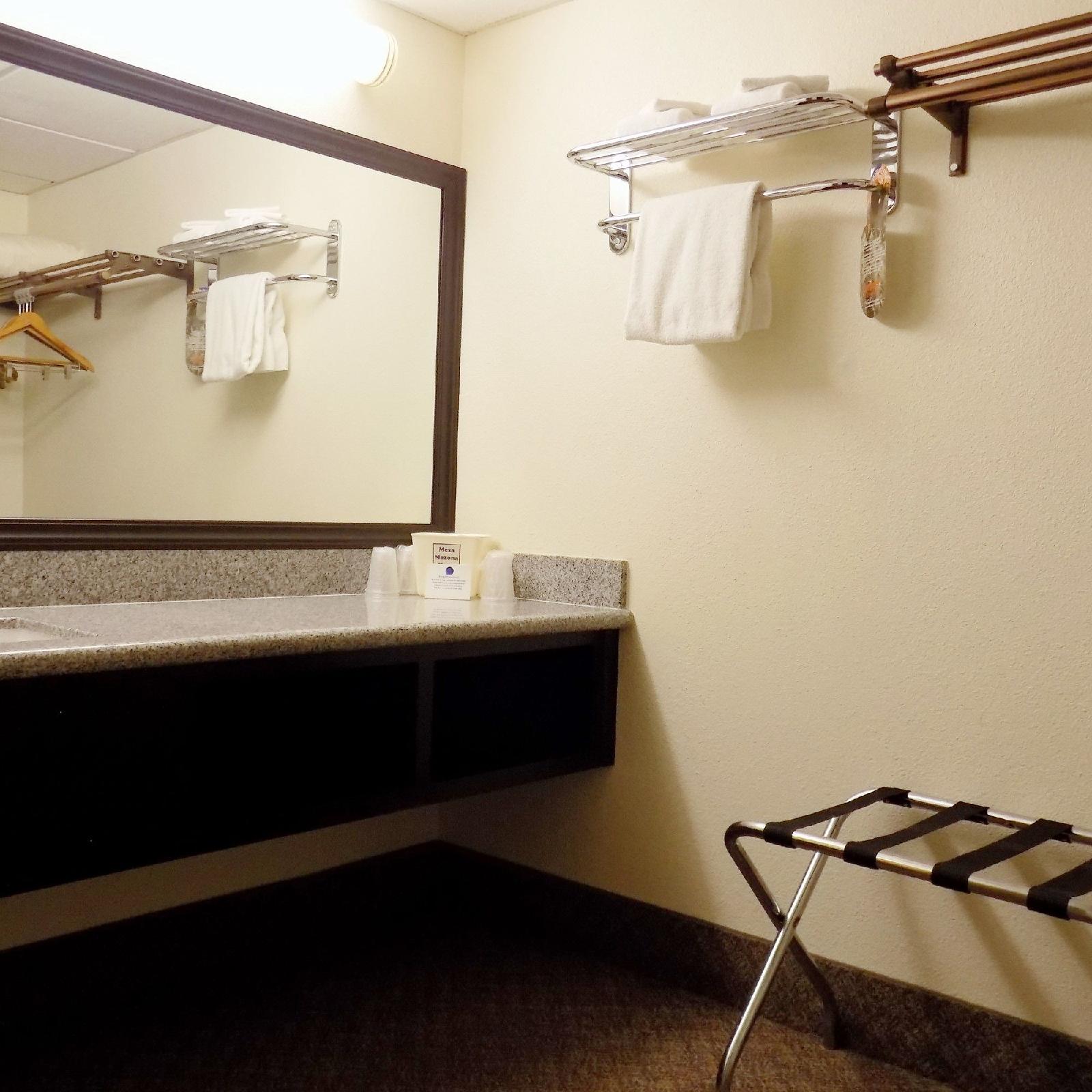 Ramada by Wyndham Mesa Downtown - photo 22
