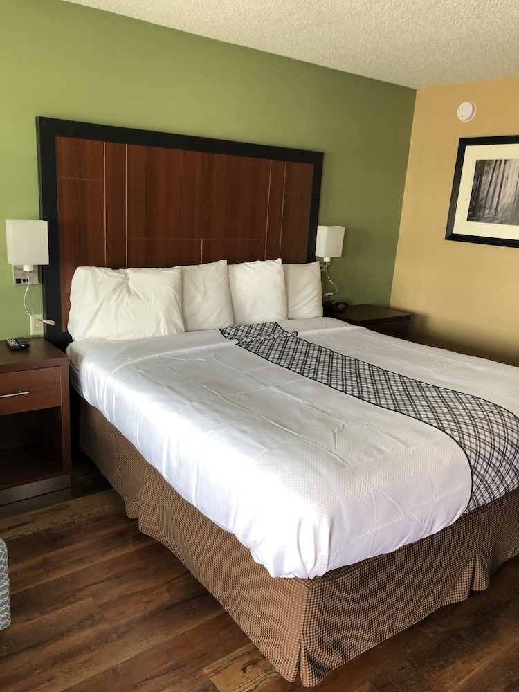 Knight's Inn Motel - photo 33