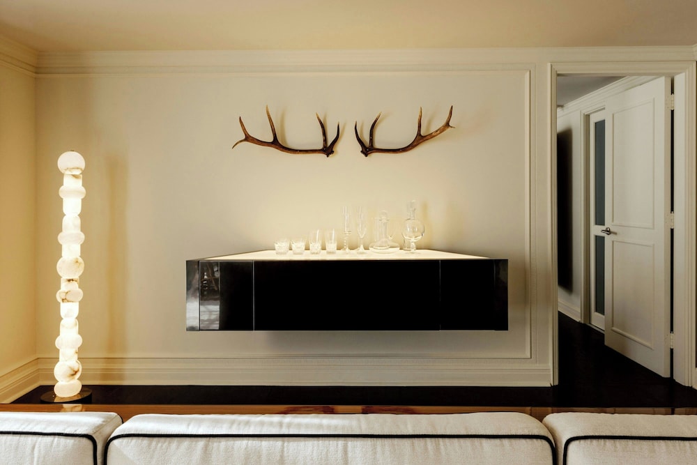 The St. Regis Aspen Resort - photo 148