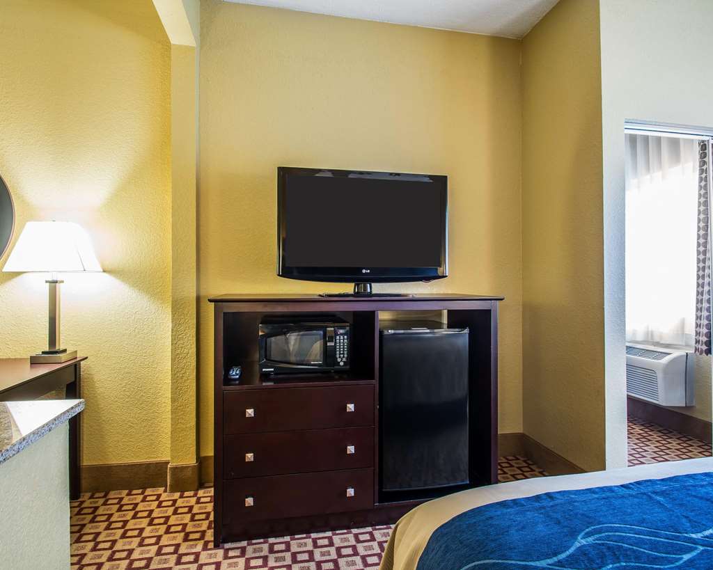 Quality Inn Plant City Lakeland - photo 11