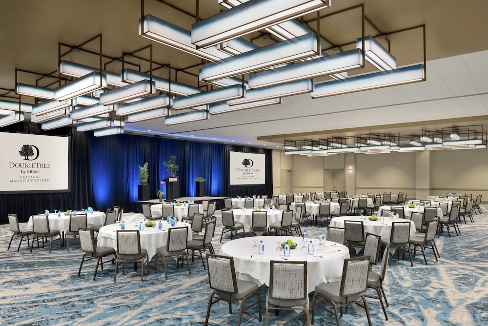 DoubleTree by Hilton Chicago Magnificent Mile - photo 39