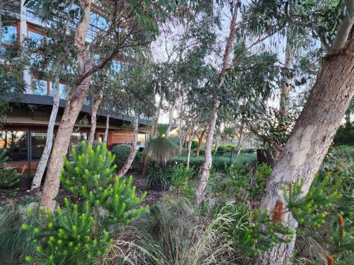 GREEN ROSE Quiet Spacious Lakeside Carpark Exceptional 70m2 — 4-Star Luxury Hotel in Canberra, Australia
